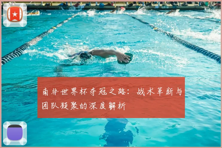 南非世界杯夺冠之路：战术革新与团队凝聚的深度解析