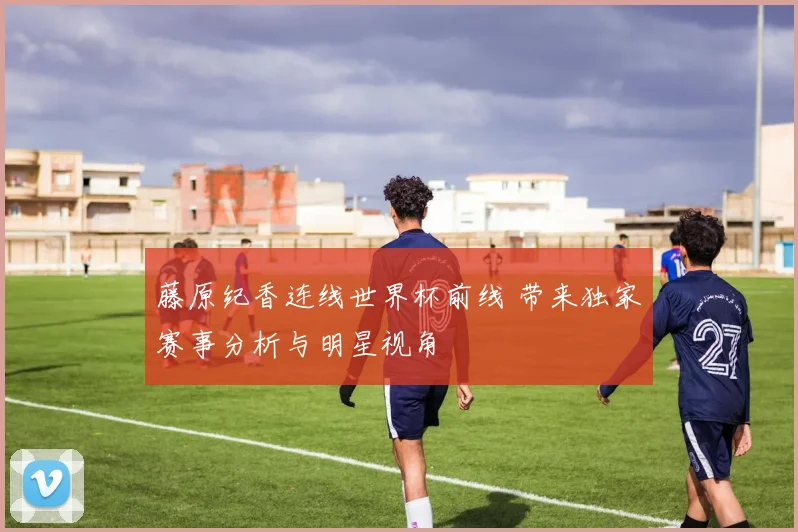 藤原纪香连线世界杯前线 带来独家赛事分析与明星视角