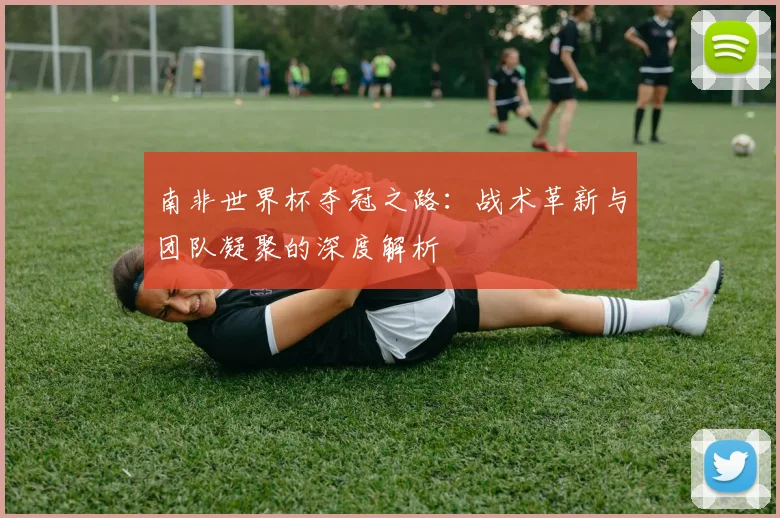 南非世界杯夺冠之路：战术革新与团队凝聚的深度解析