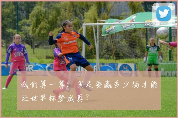 我们算一算：国足要赢多少场才能让世界杯梦成真？