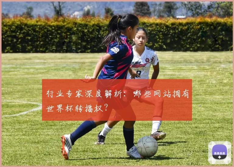 行业专家深度解析：哪些网站拥有世界杯转播权？