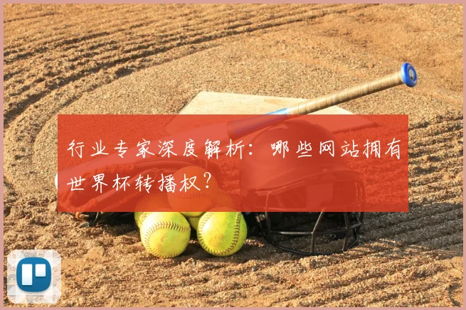 行业专家深度解析：哪些网站拥有世界杯转播权？