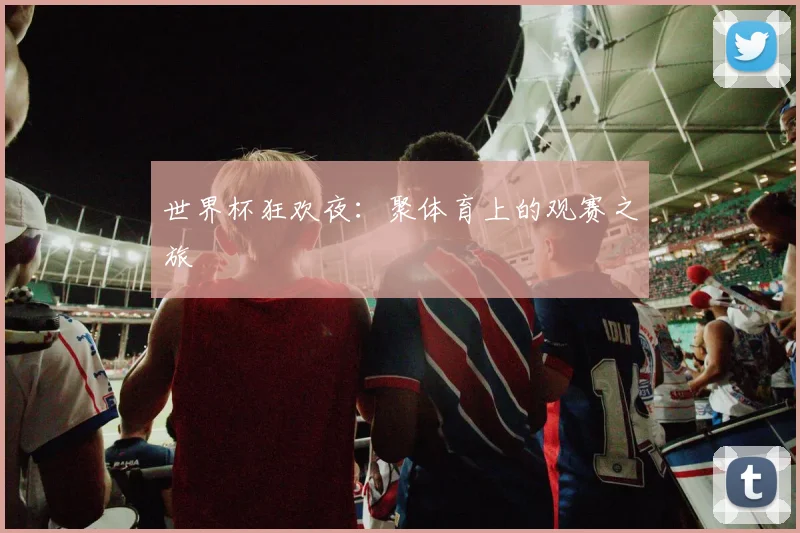 世界杯狂欢夜：聚体育上的观赛之旅